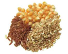 Grain Inspection