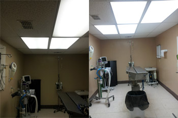 Veterinarian Lighting