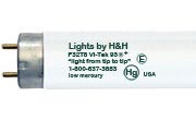 Vi-Tek 93 Plus Fluorescents
